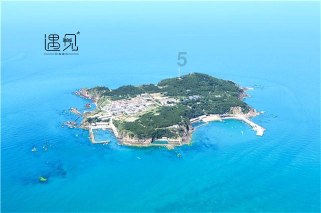 救援小袋熊